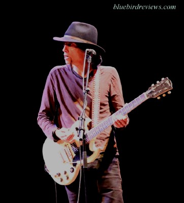 thewallflowersguitarweb.jpg
