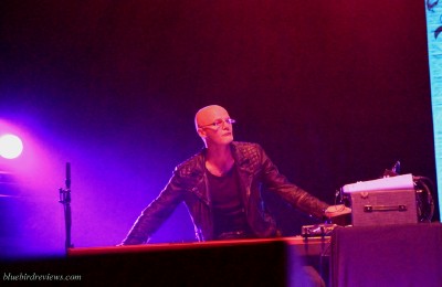 johnbaggottbluebirdreviewsweb