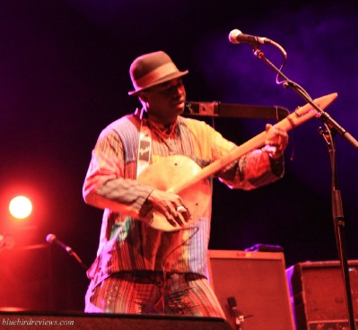 juldehcamarabluebirdreviewsweb