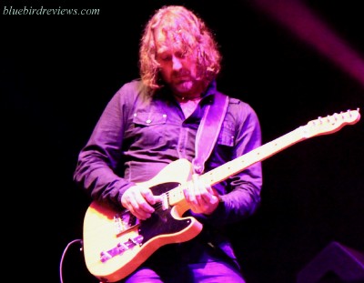 skintysonbluebirdreviewsweb