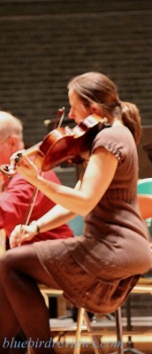 pvso 20120405_011cropweb